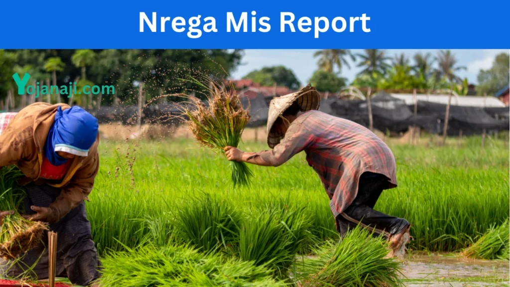 Nrega Mis Report