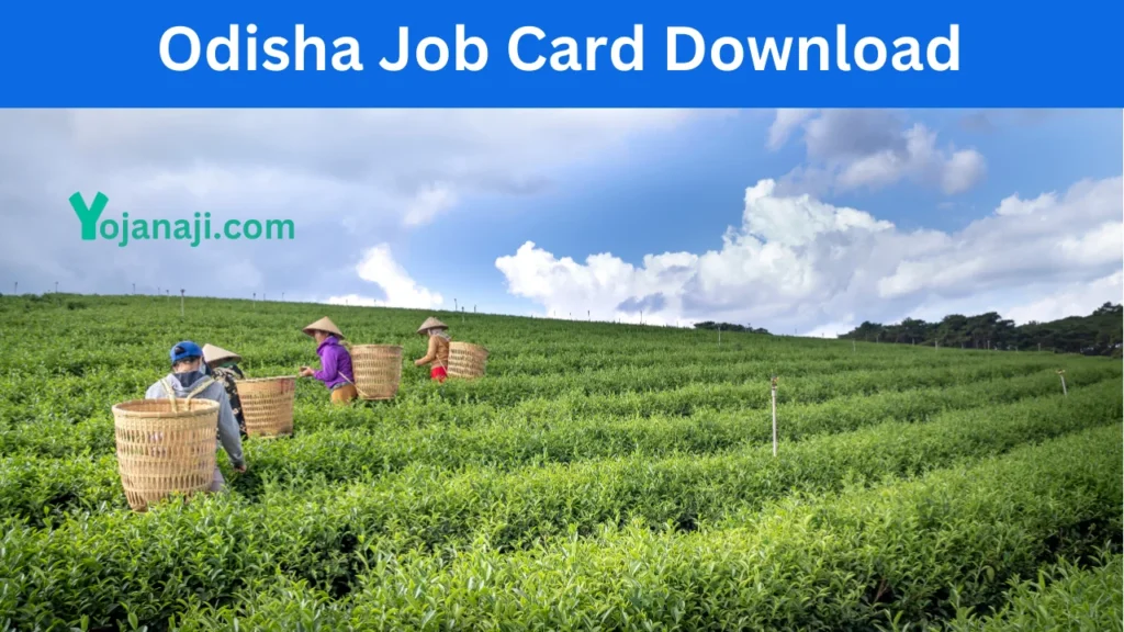 Odisha Job Card Download